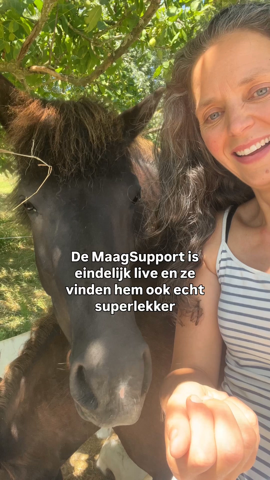 Ondersteun van binnenuit