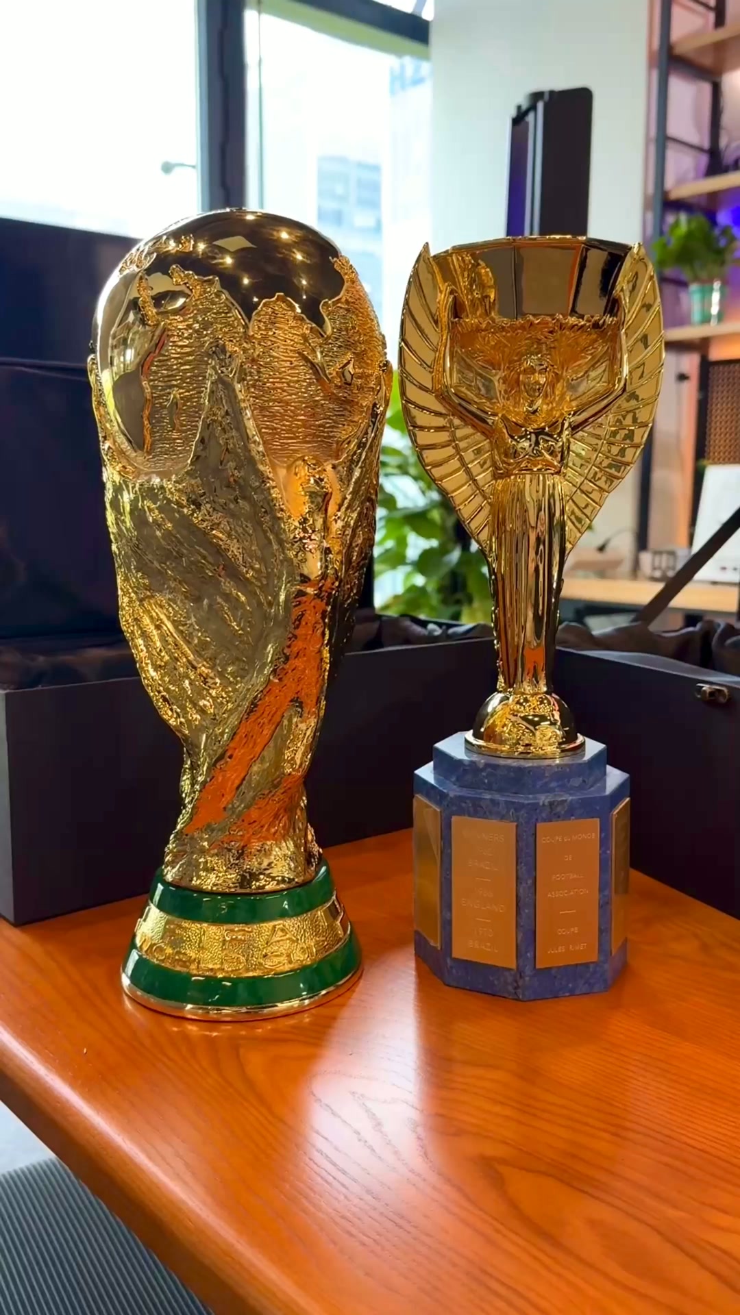 Anúncio de Trophy & Pigskin Nation