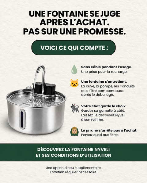 L'erreur de gamelle d'eau que font la plupart des propriétaires de chats