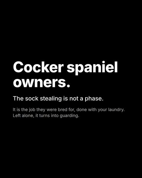Discover your breed