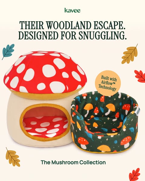 Upgrade to the Mushroom collection