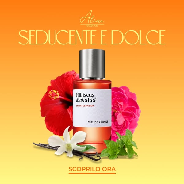 Spedizione Rapida in 24/48h