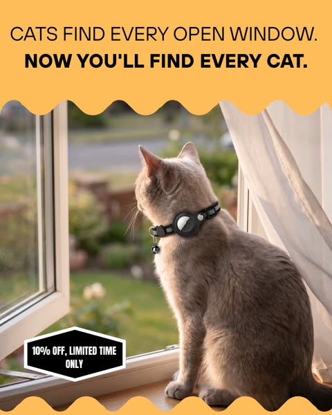 Find them before the panic sets in.