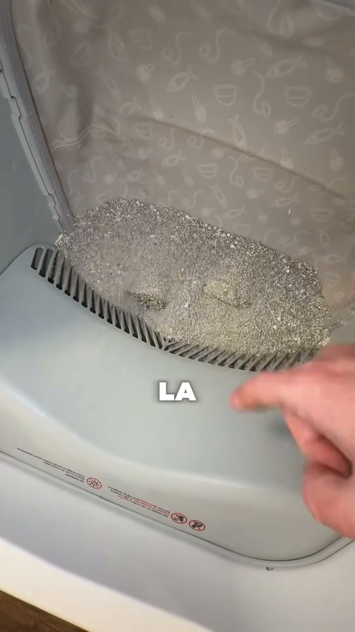 Guarda come si pulisce da sola