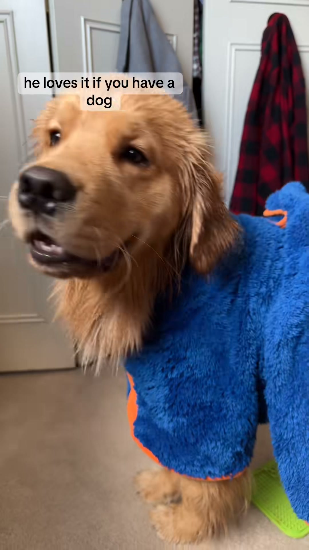He Can't Tell You He's Cold
