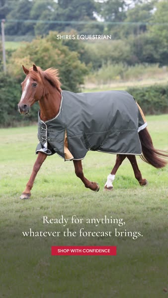 Everyday Essential Gear