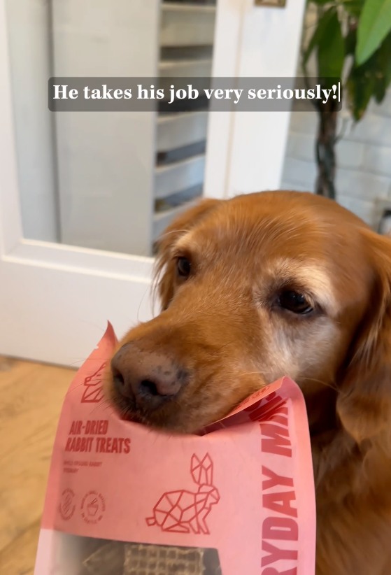 Whole animal doggy treats? Yes, please!