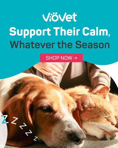 Cat Calming Essentials