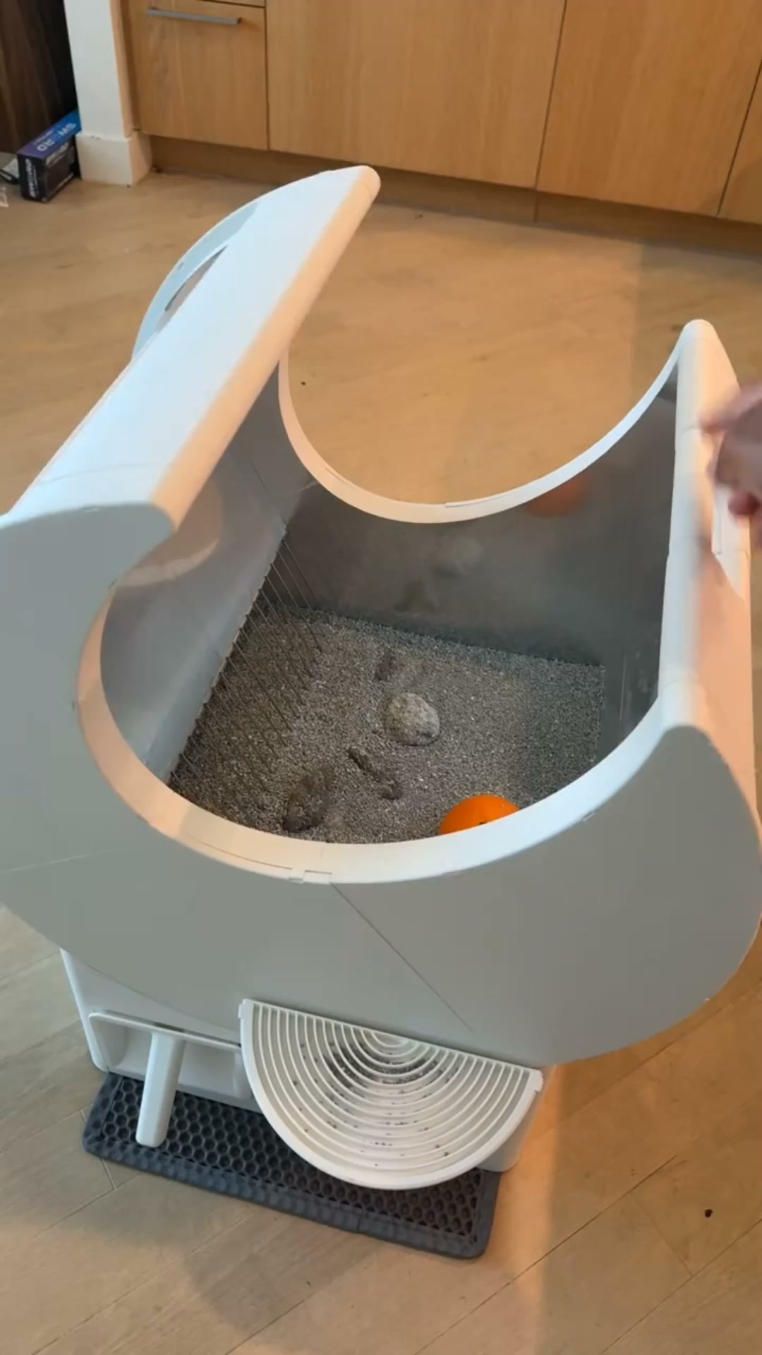 No Scooping, No Electricity! The 5-Second Rotating Litter Box is Here