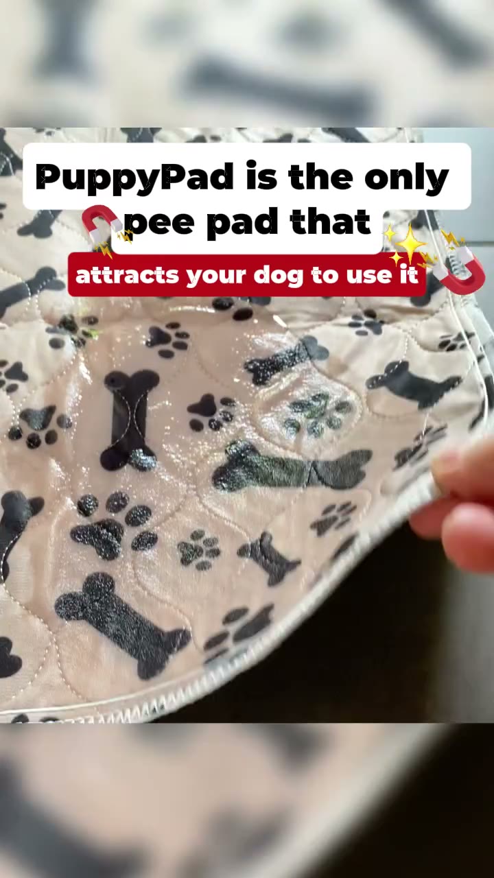 The Pee Pad Shelters Use On Strays