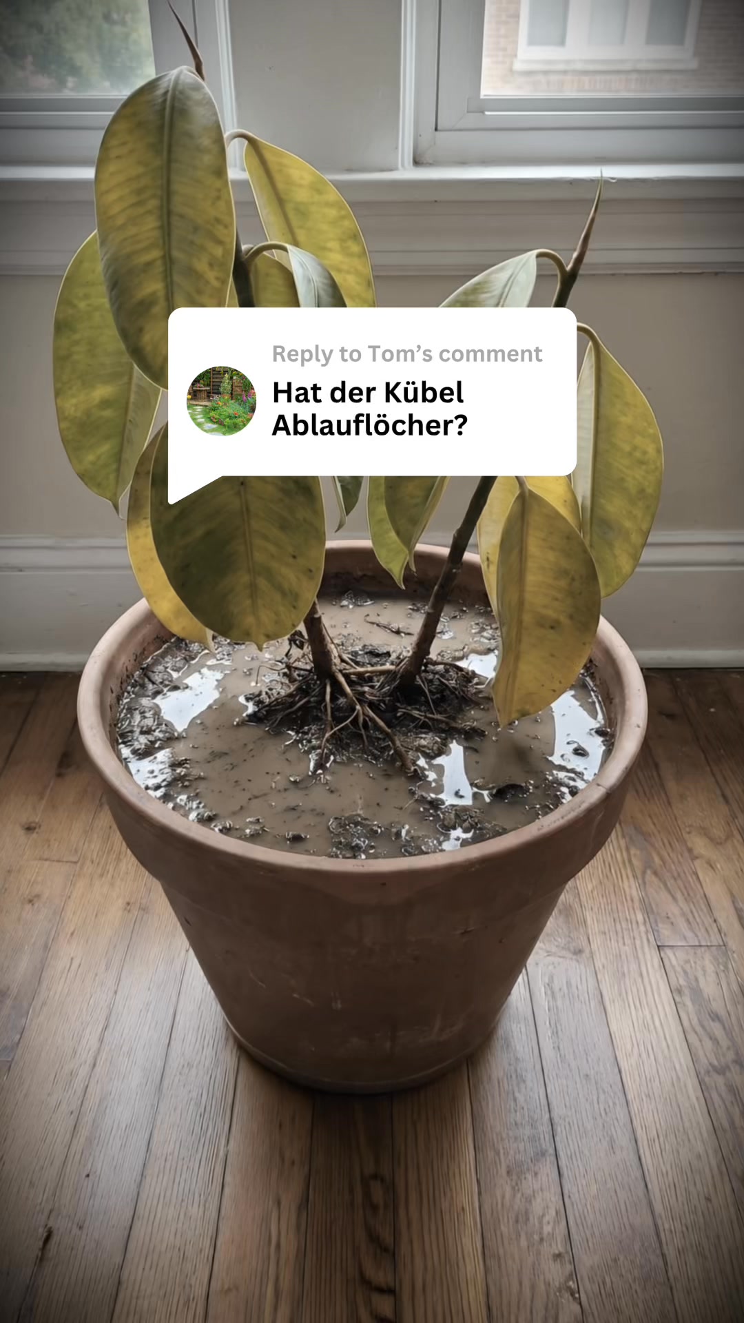 Keine Staunässe mehr