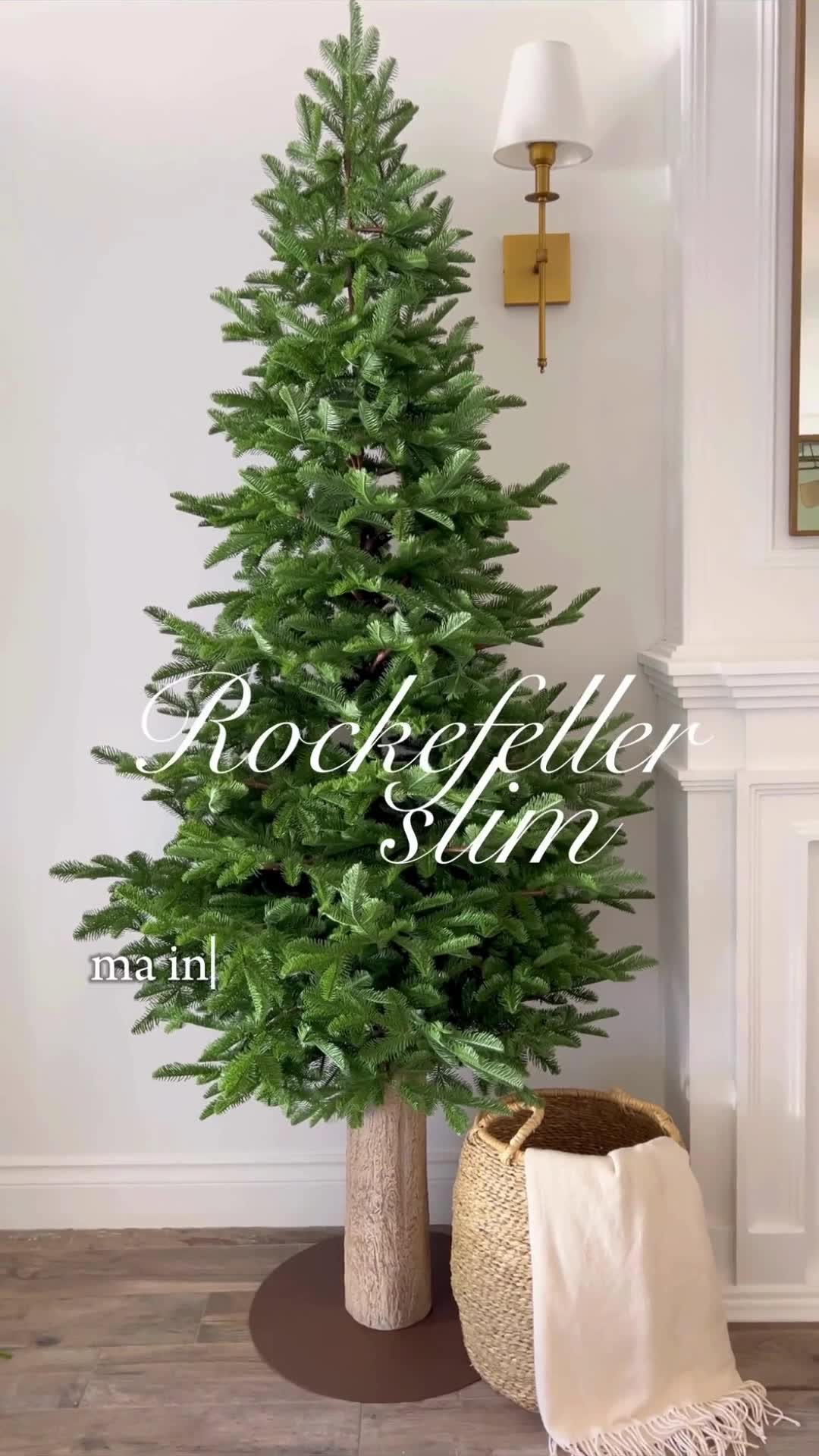 L'albero di Natale più amato d'Italia