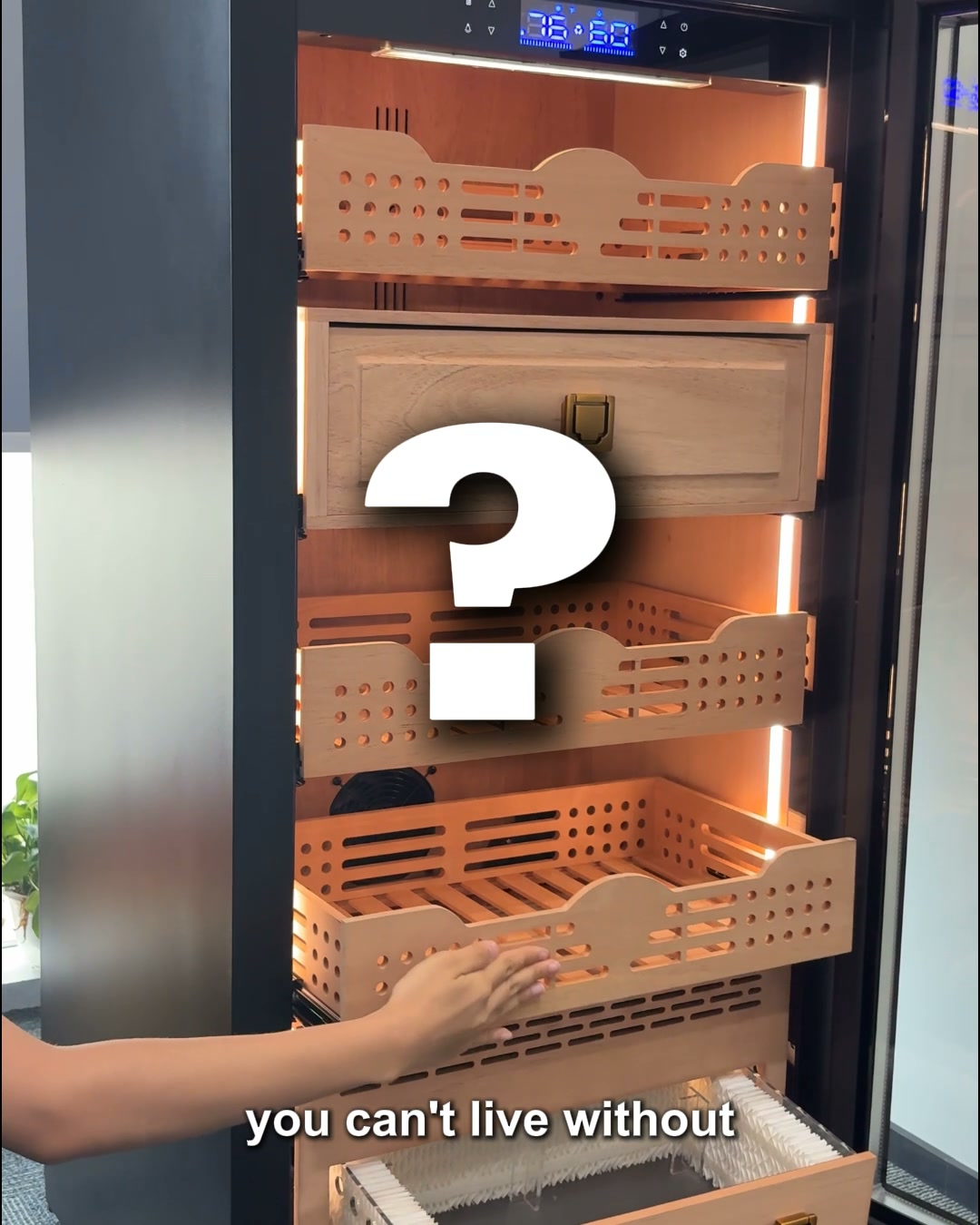 Up to 1,000 Pieces. One Serious Collection Cabinet.