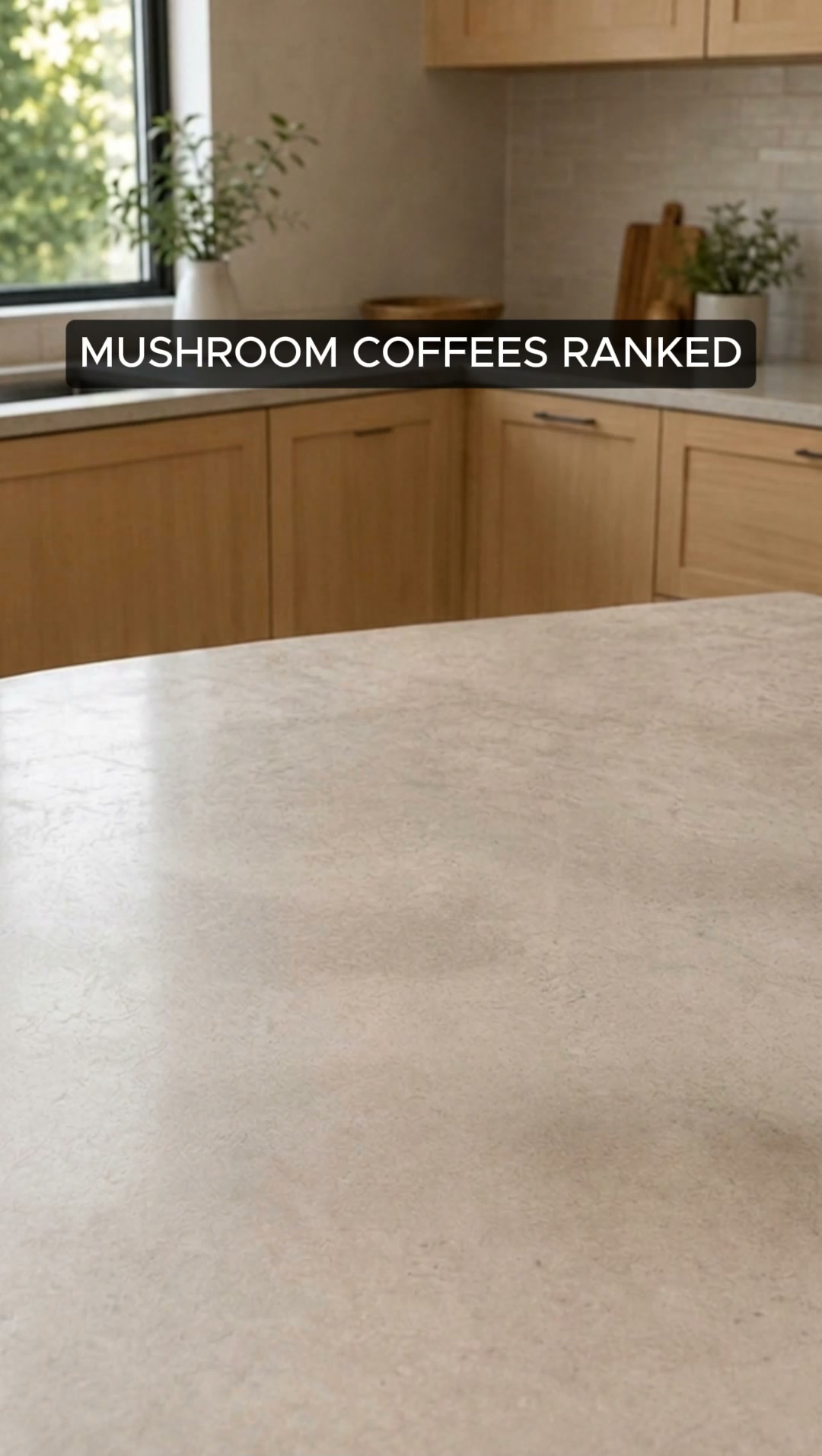Top Mushroom Coffees Ranked