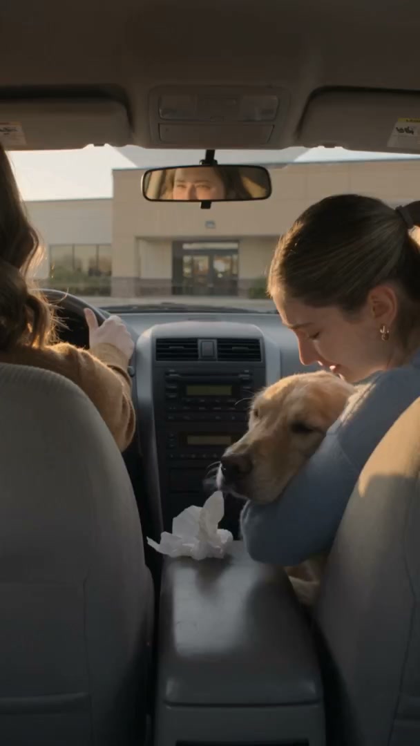 Strop Treating your dogs Allergies! Here is why...