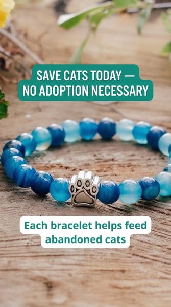 Deltee Paw Bracelet