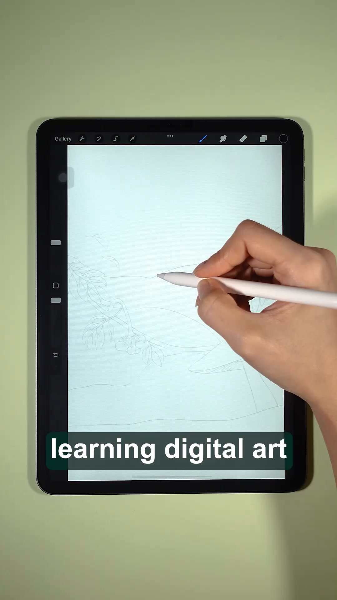 Learn Digital Art in 30 Minutes a Day (Guaranteed)