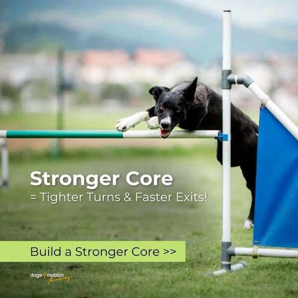 NEW: The Psoas Power – Just $147!
