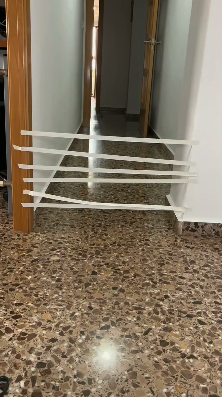 Envío gratuito a toda España