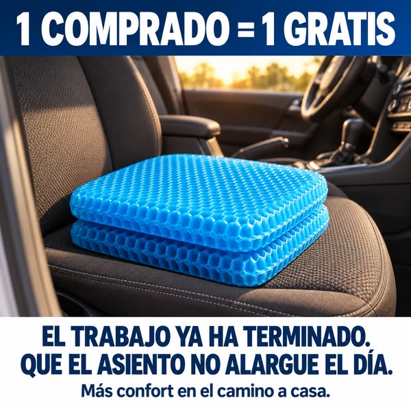 1 cojín comprado = 1 GRATIS