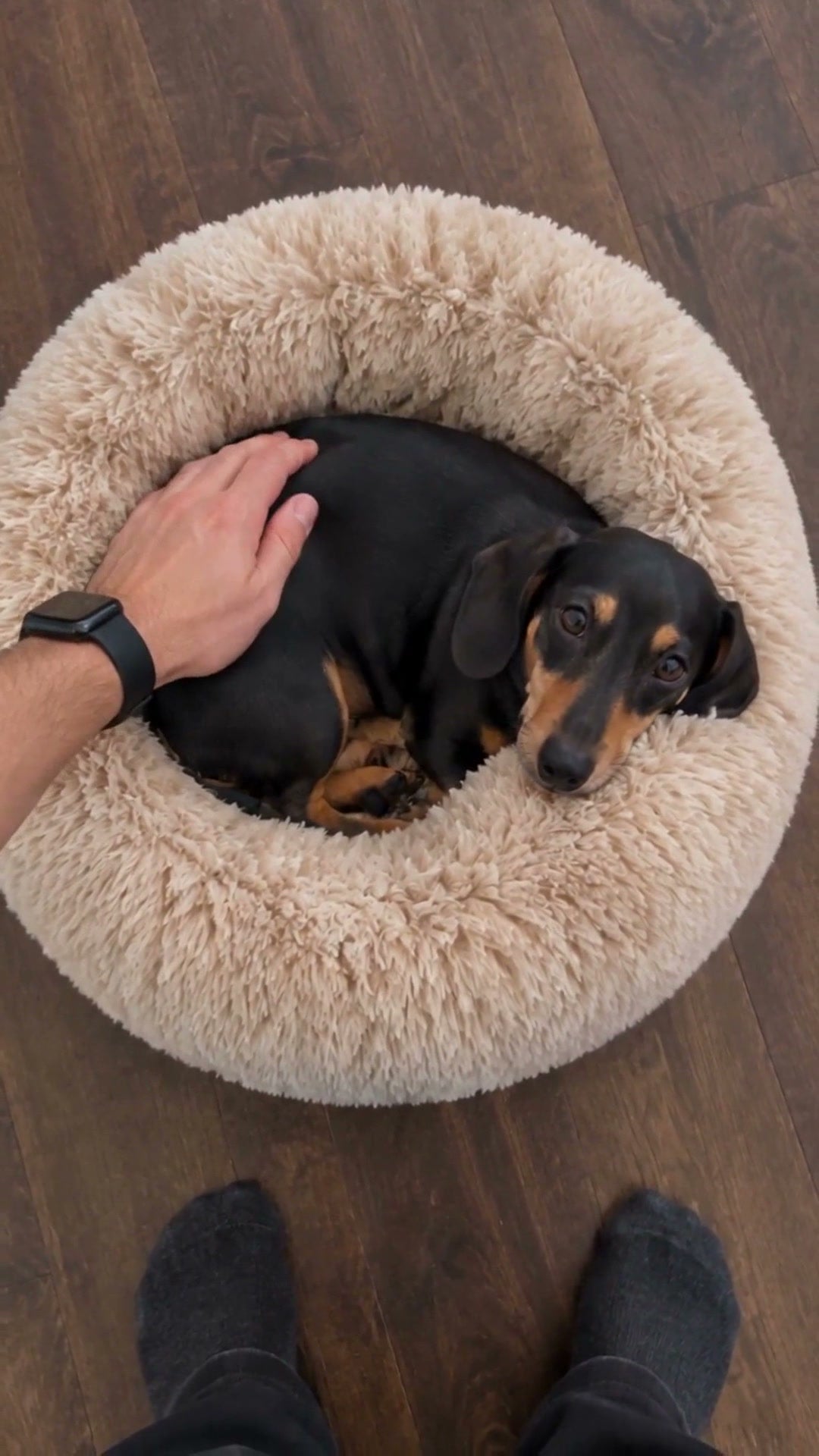 A raised rim and a deep middle