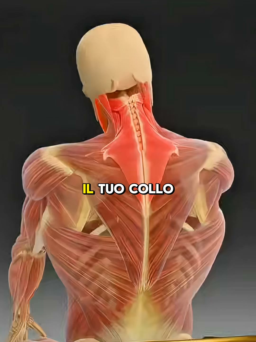 Paga alla consegna