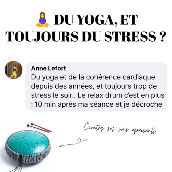Le Pro : 229,95 € au lieu de 399,95 €