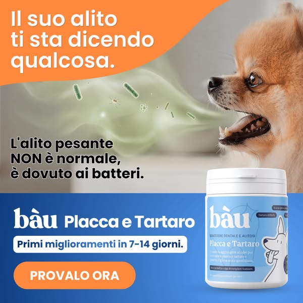 Igiene dentale perfetta, senza sforzo!