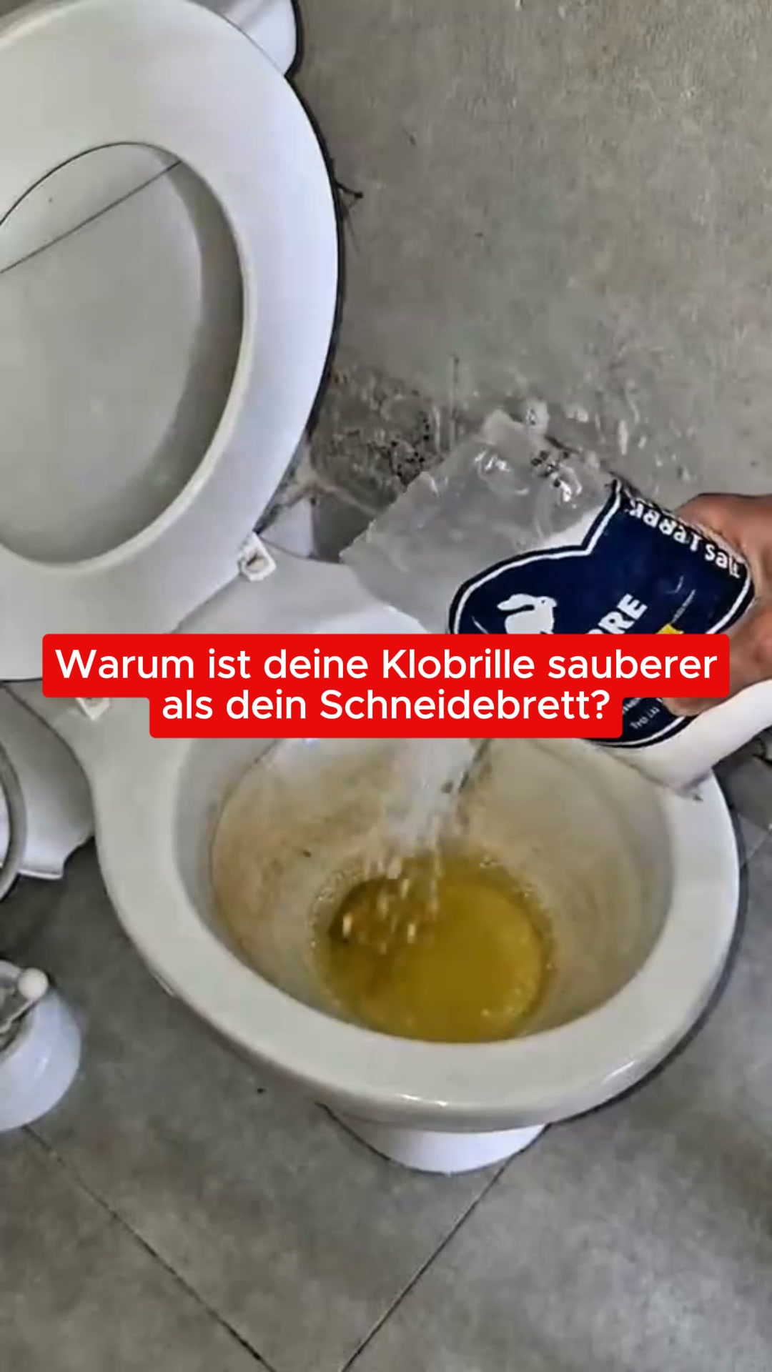 Nur kurz: 40% Rabatt!