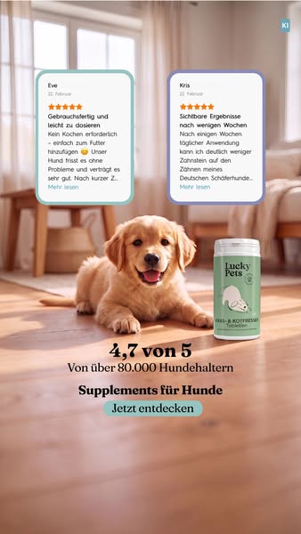 Über 2.500 Hundehalter sind dabei