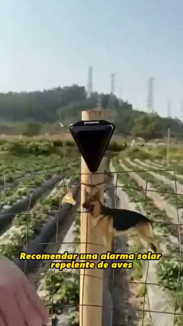 Envío gratisPago contra entrega