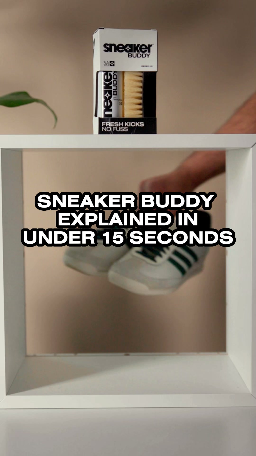 Box-Fresh In 5 Minutes