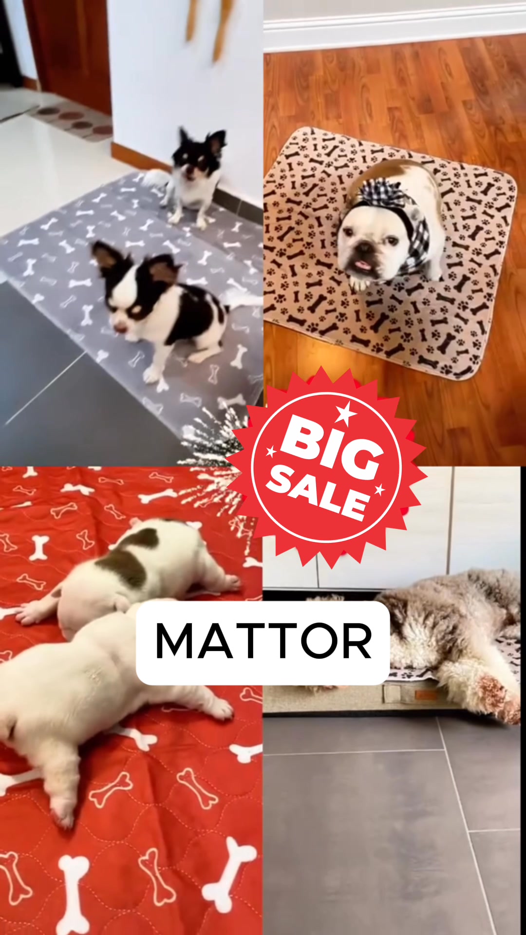 Gratis frakt + 200kr rabatt idag!