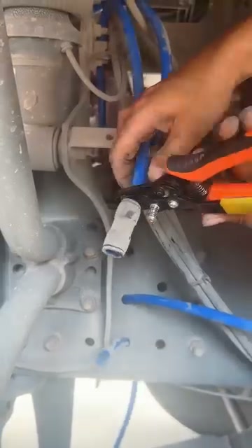Anúncio de Mytrendyes
