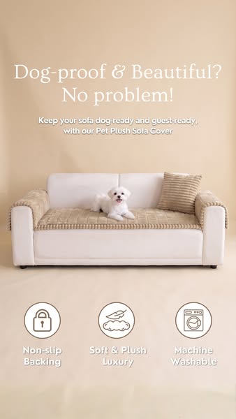 Sofa is much cleaner now..