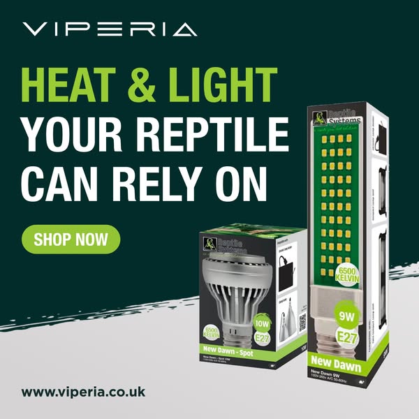 REPTILE HEATING & LIGHTING