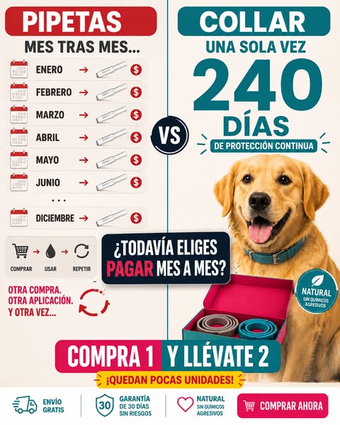 Protección que tu perro disfruta.