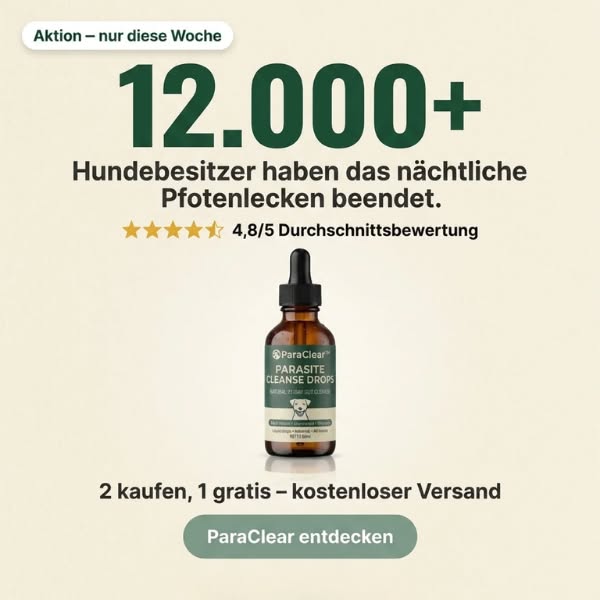 Seine Pfoten heilen. Endlich.