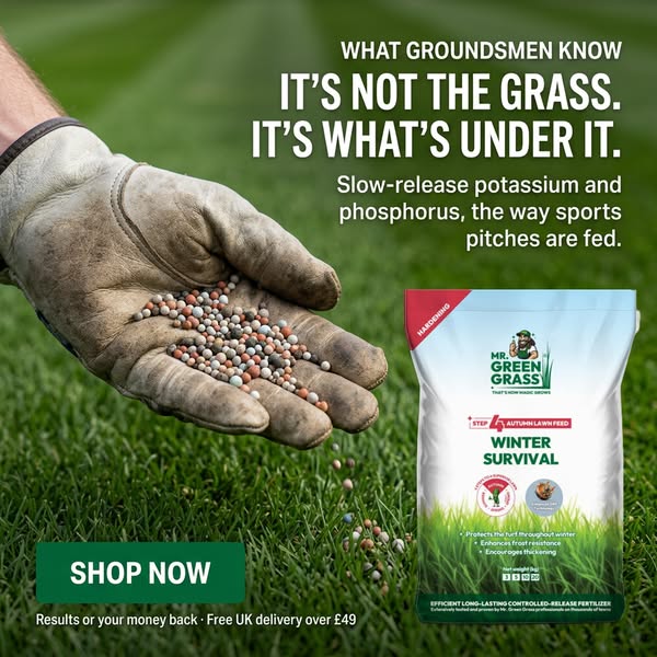 Your Lawn Deserves The BEST!