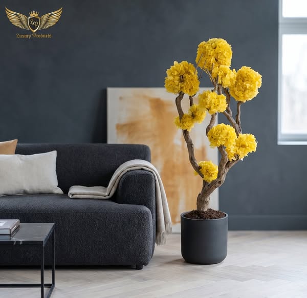 Anúncio de Luxury Products