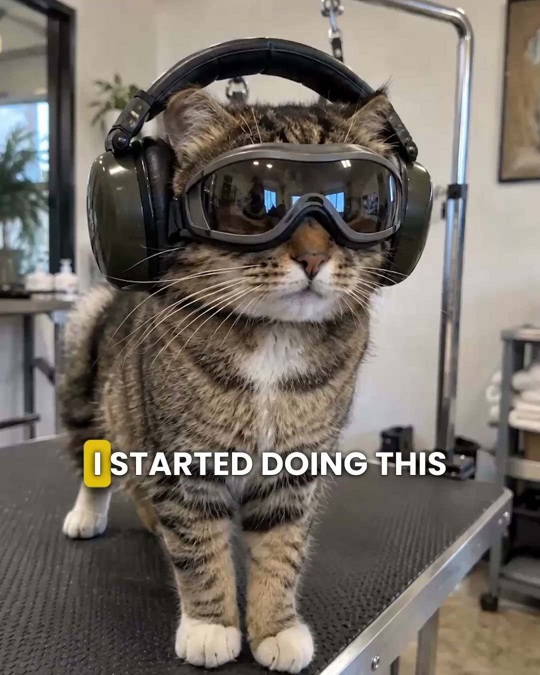 Stress-Free Nail Grooming for Your Cat!