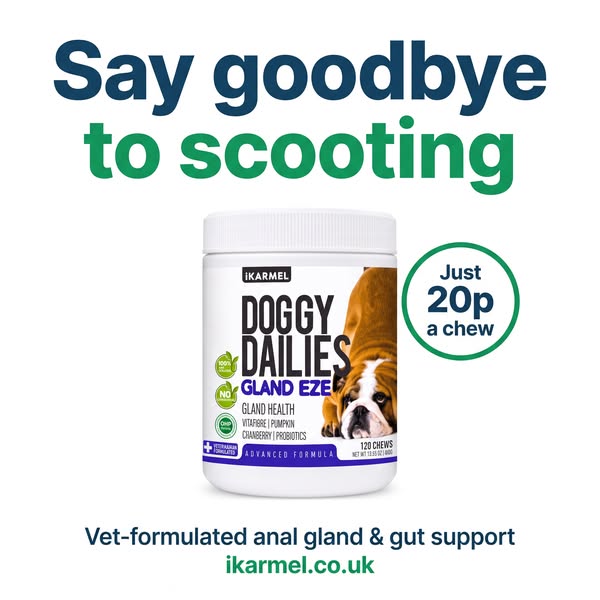 Say Goodbye to Scooting
