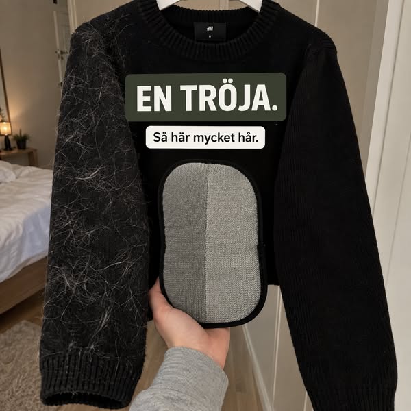 Ta på dig svart utan katthår