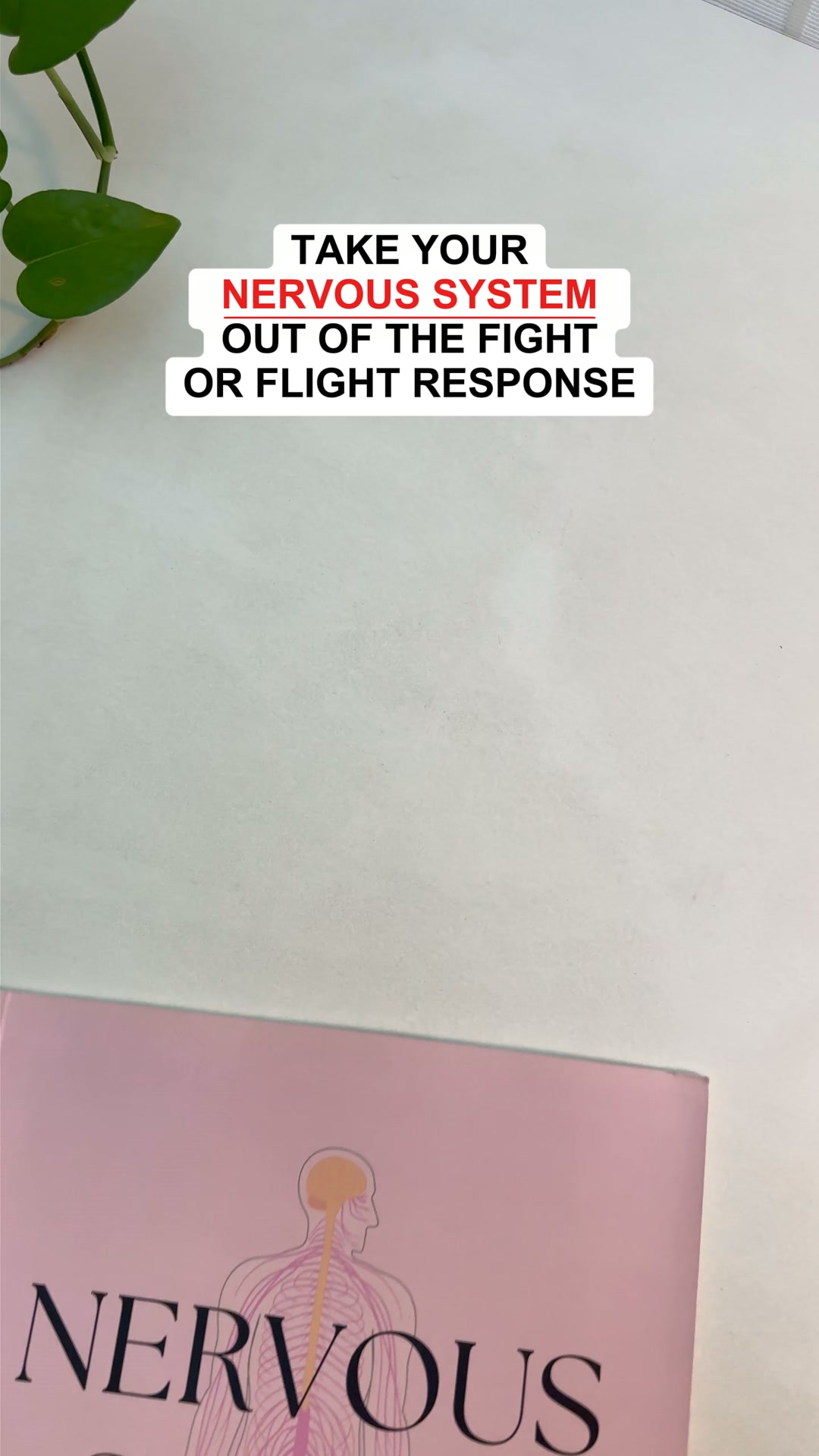 Take your nervous system out of fight or flight - get the tools at 90% off today.