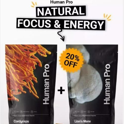Lion's Mane + Cordyceps Bundle