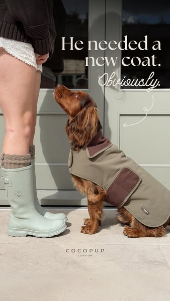 Made For Country Walks