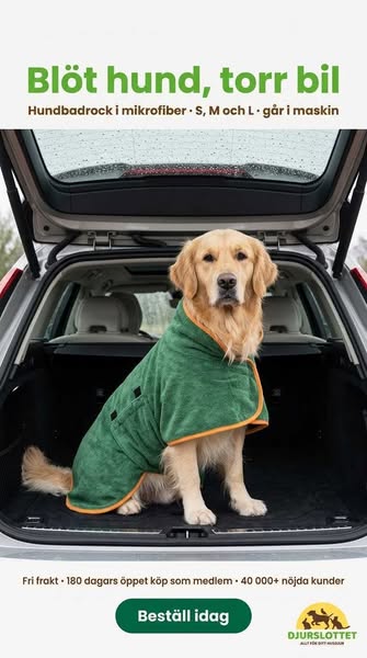 Blöt hund, torr bil