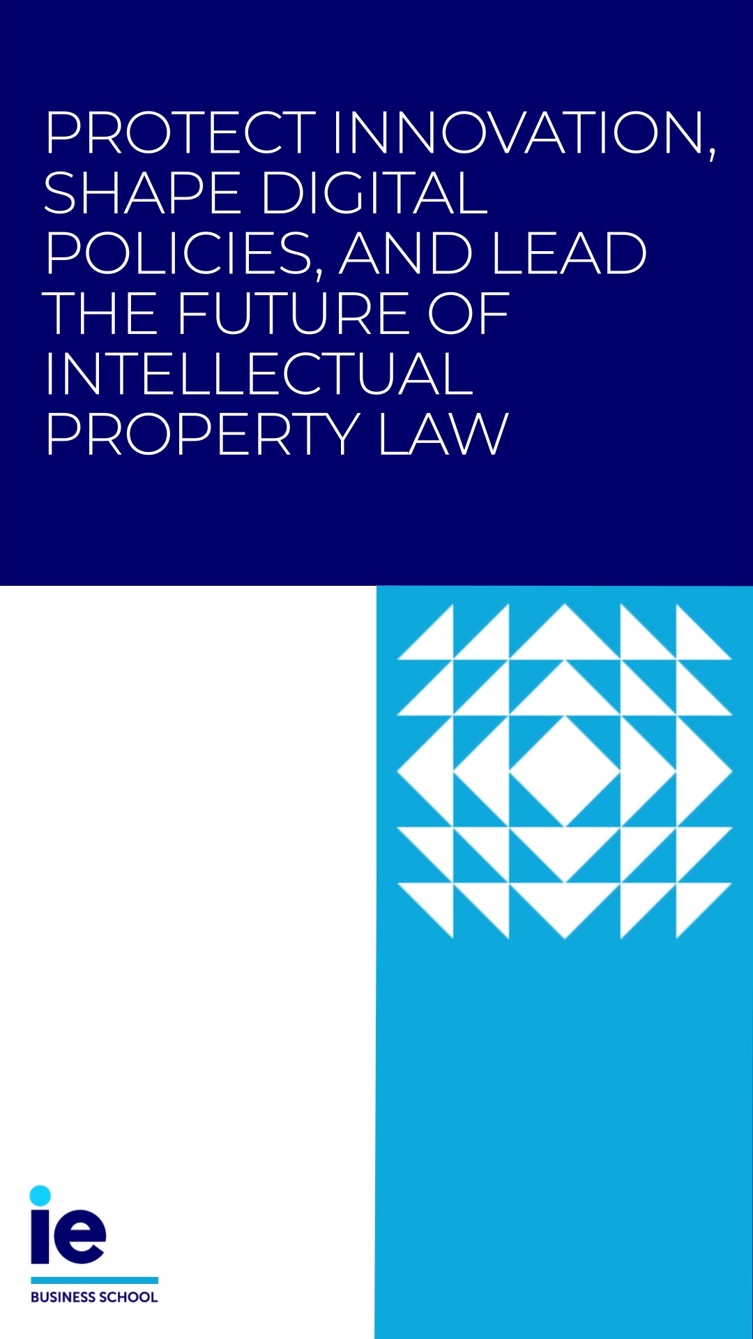 Discover our program