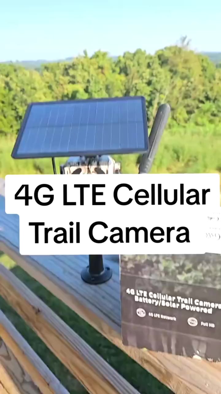 Fototrappola 4G Solare Visione Notturna