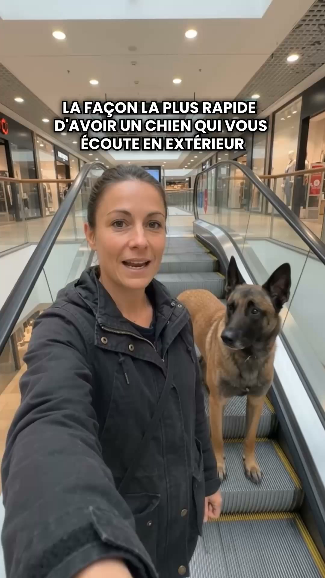 Commencez le Défi niveau chien d’assistance ▶